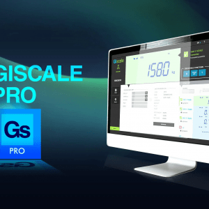 Giscale PRO Software
