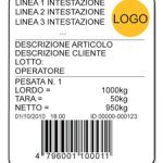 Software AF03 para indicadores 3590E/CPWE - Pesagem de Veículos - Image 2